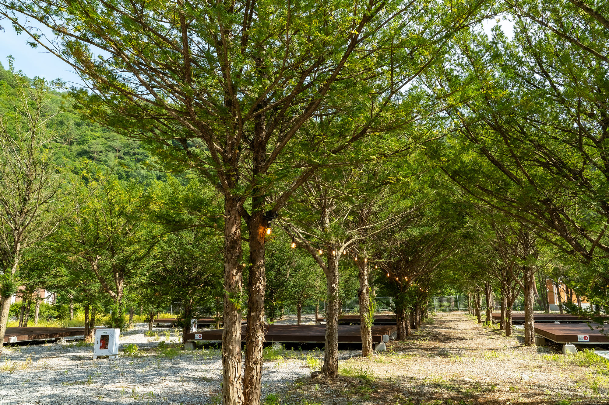 가리왕산 정원 캠핑장 4번째 이미지