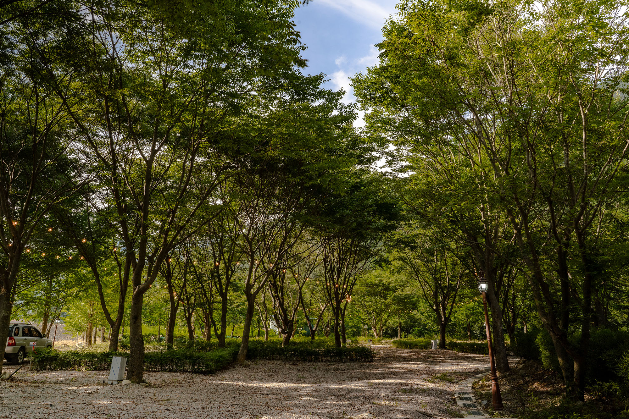 가리왕산 정원 캠핑장 6번째 이미지