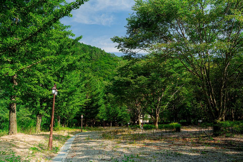 가리왕산 정원 캠핑장