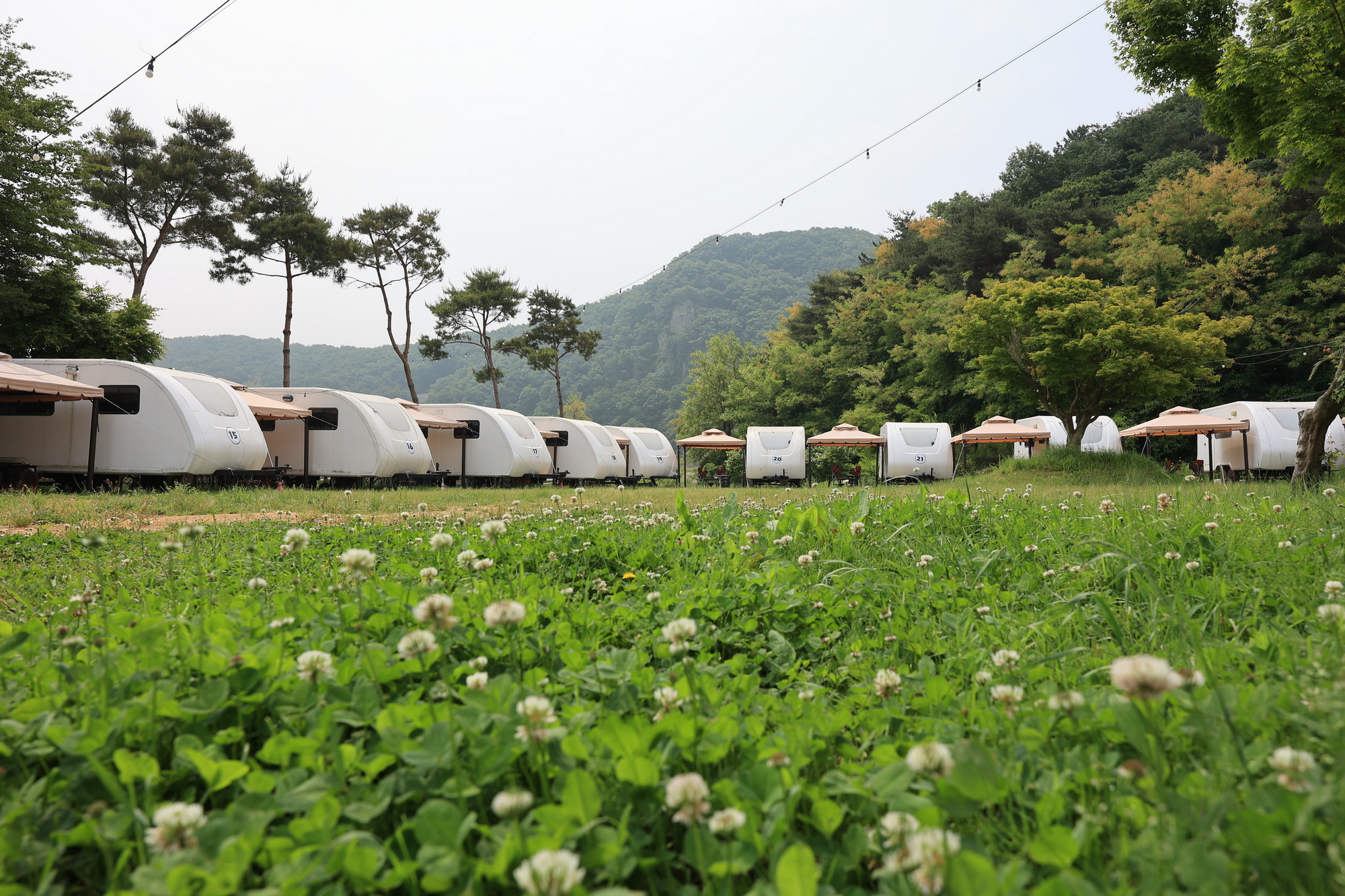 서산클럽아일랜드 21번째 이미지