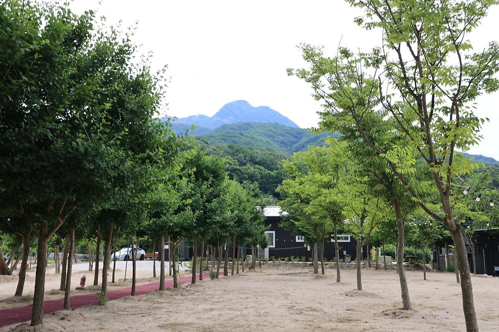 한국관광공사 고캠핑 고캠핑