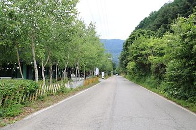 돌궁캠핑장 사진