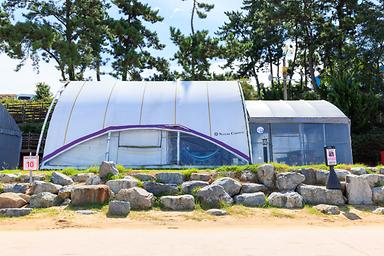 돌머리 해변 글램핑 야영장 사진