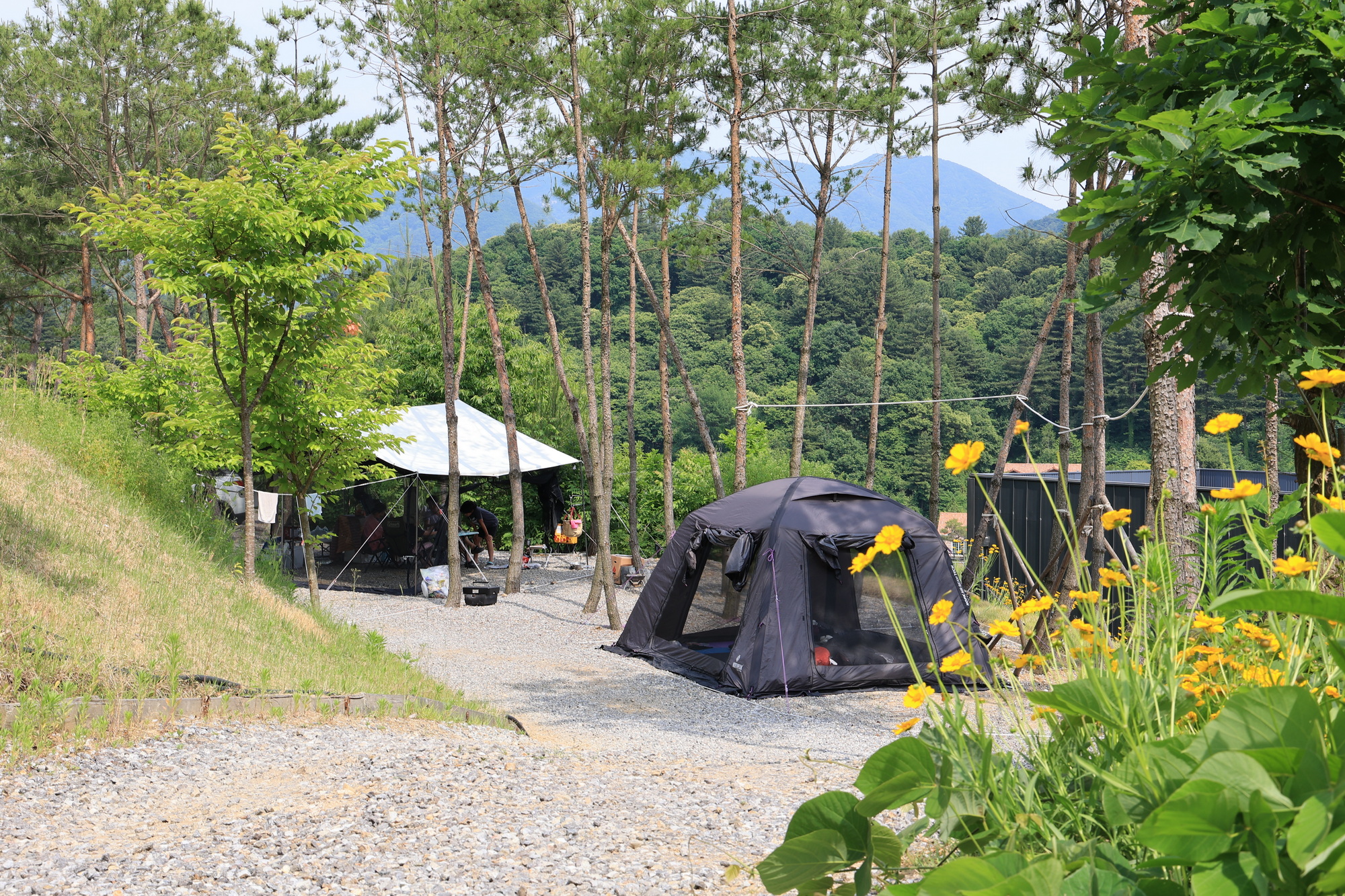 (주)너의아지트가되어줄게 15번째 이미지