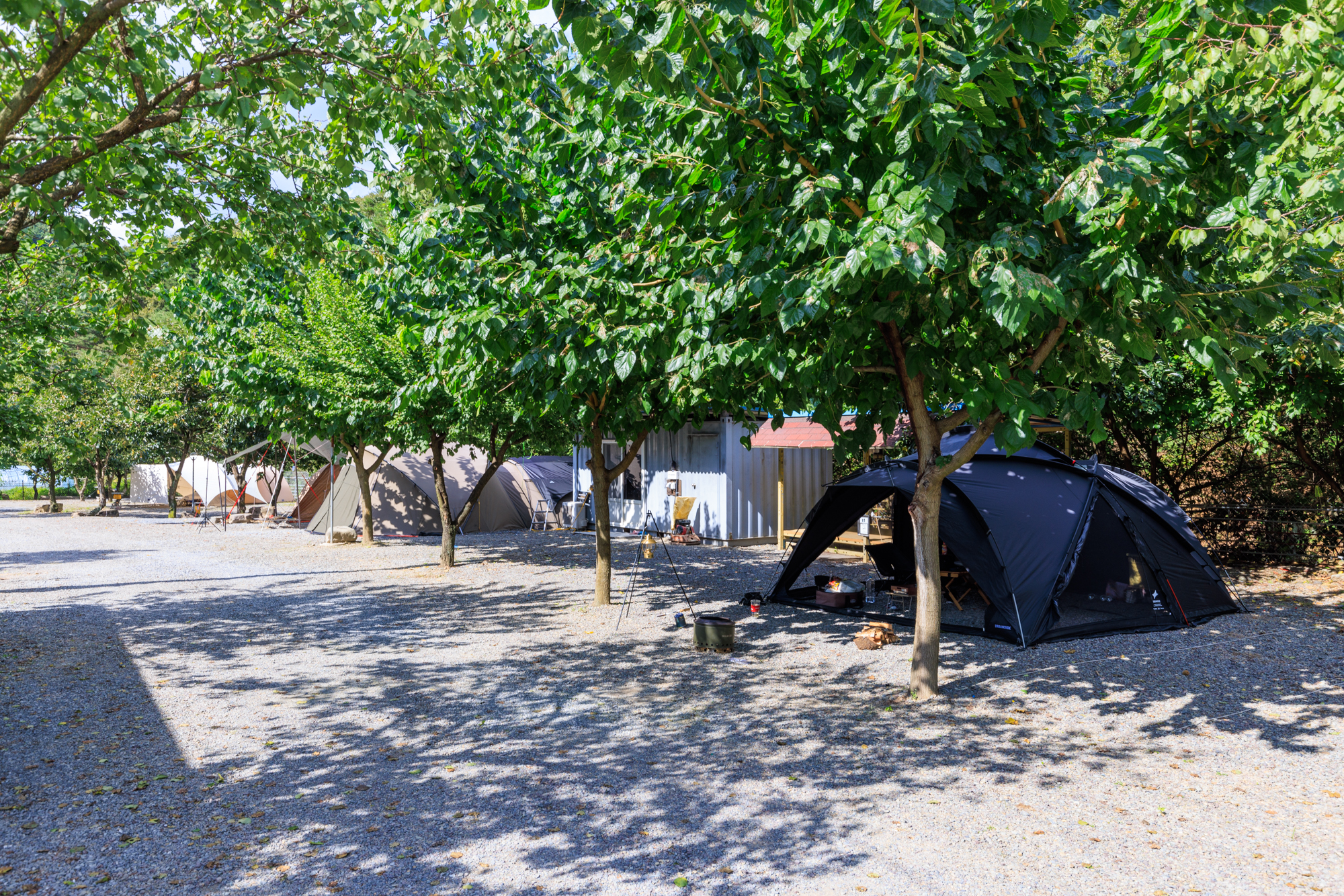 경산 모골캠핑장 이미지