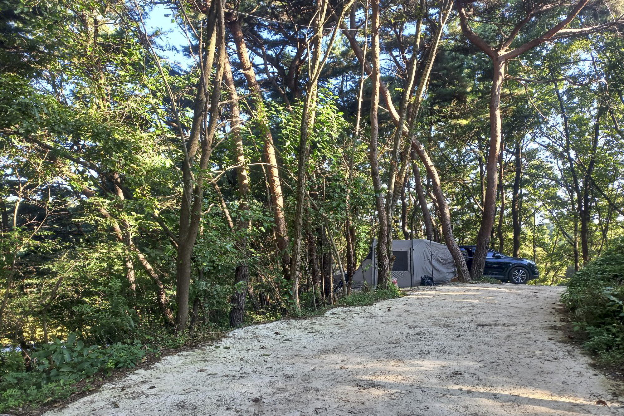 우니메이카 문경점 이미지