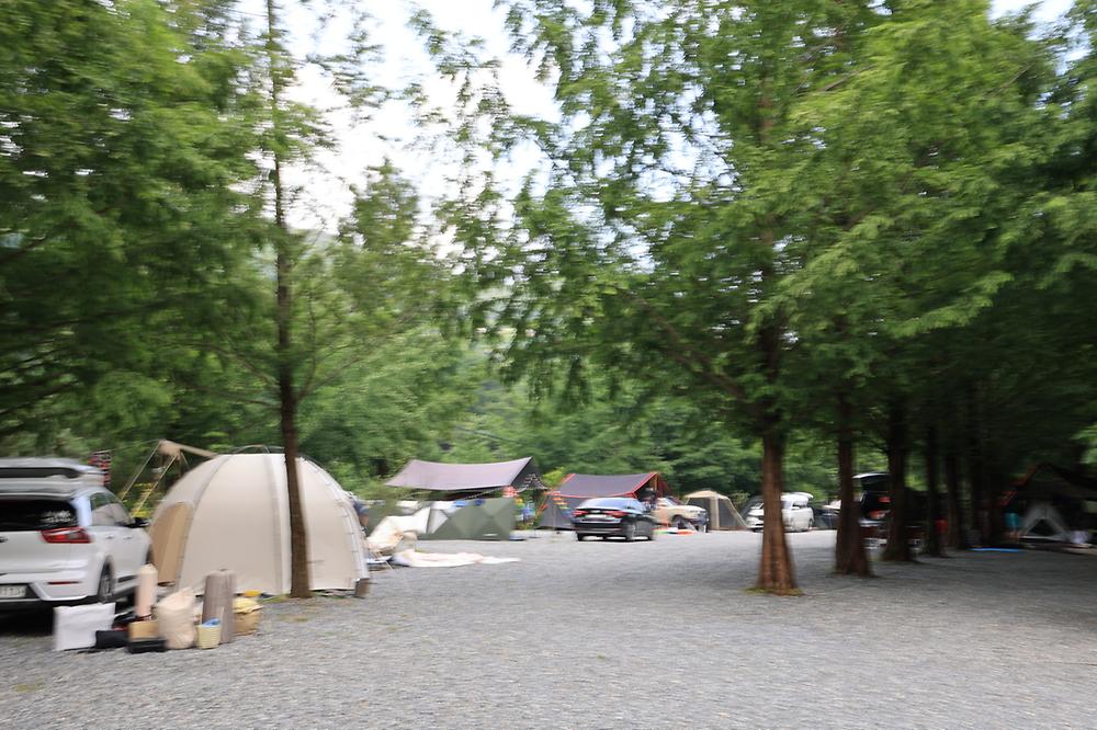 더 좋은날 n 캠핑