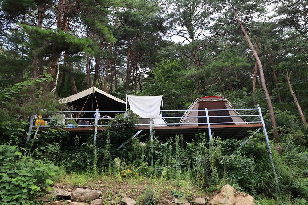 더 좋은날 n 캠핑 사진