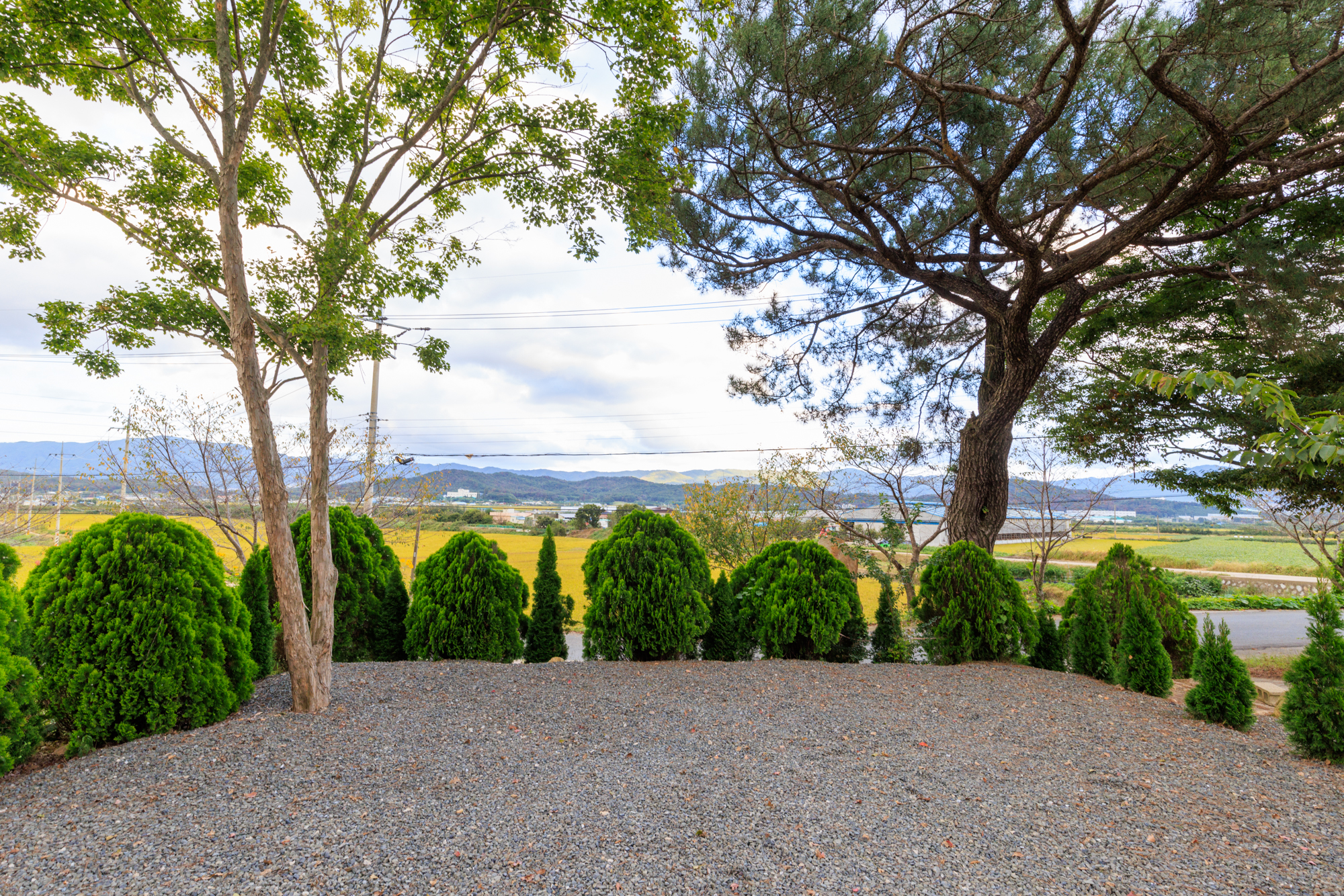 아름드리 캠핑장 이미지