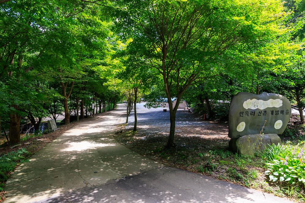 벌곡 산속 캠핑장 사진