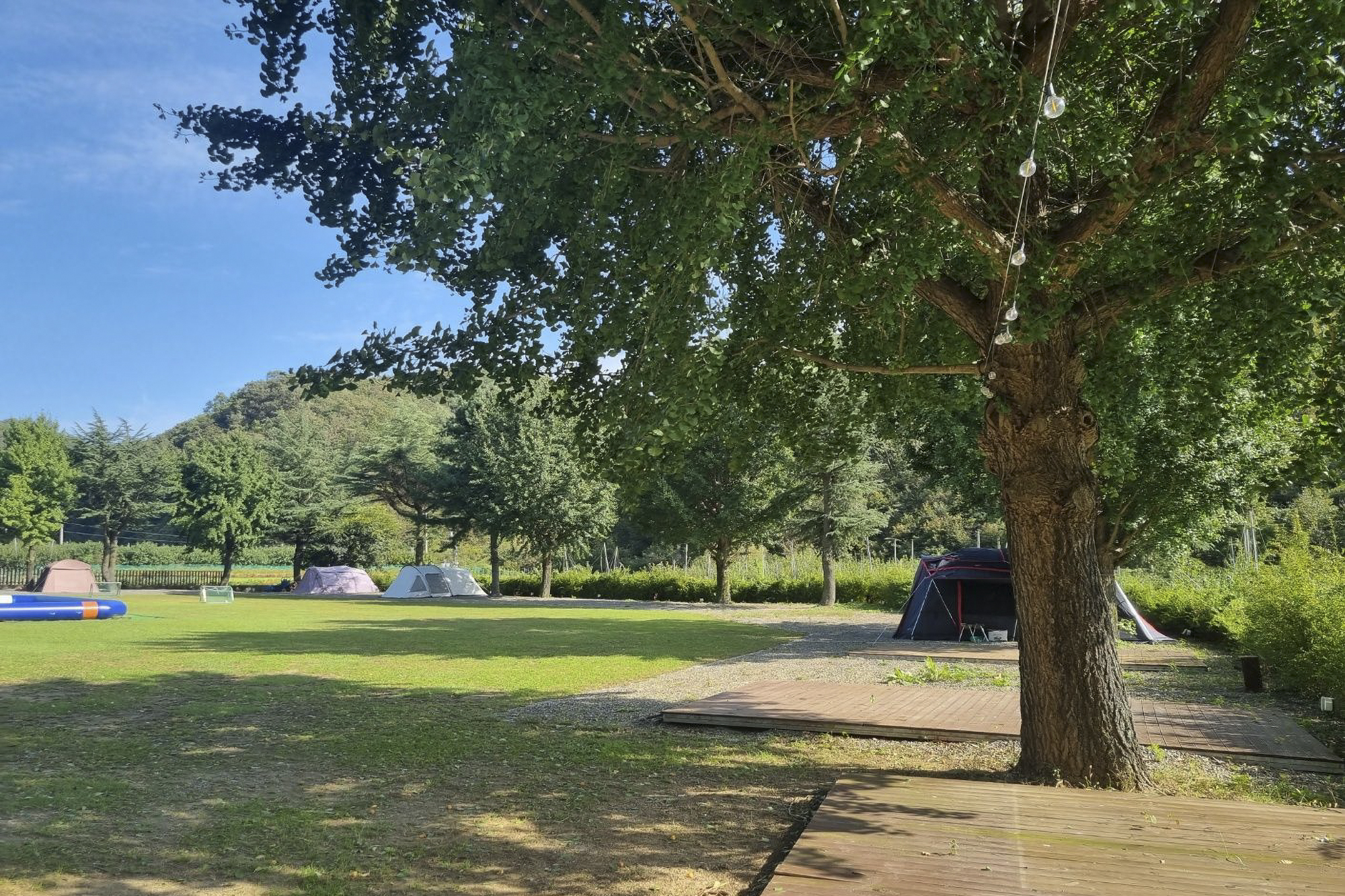 자호천생태학교 이미지