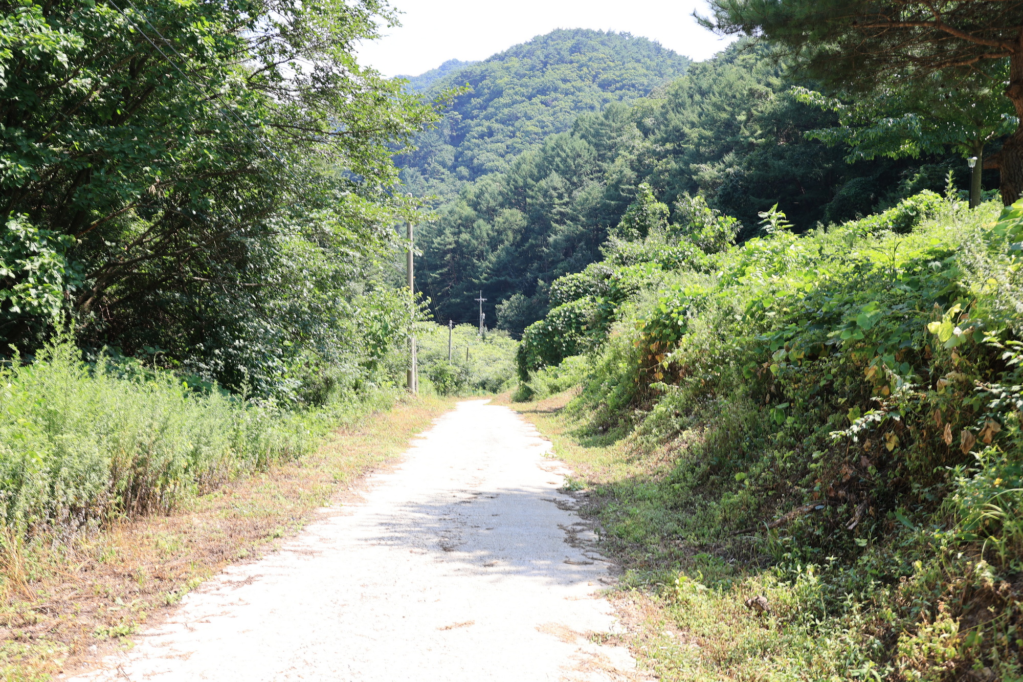 (주)산들링크 11번째 이미지