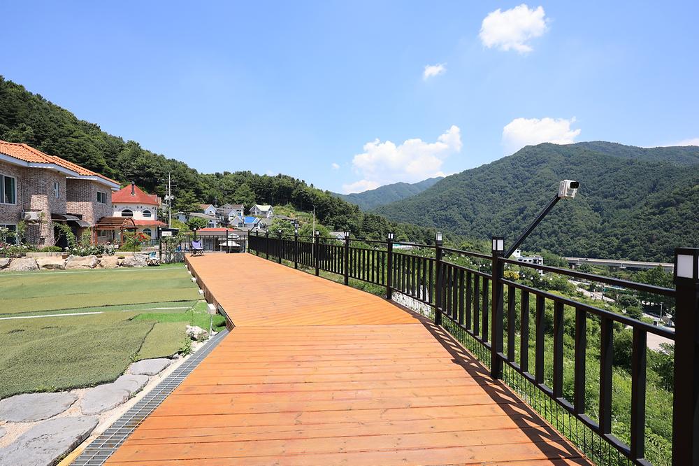 달멍 애견 풀빌라 글램핑
