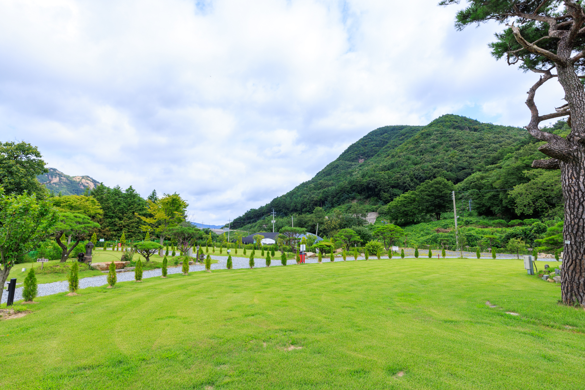 동학사힐링캠핑장 이미지