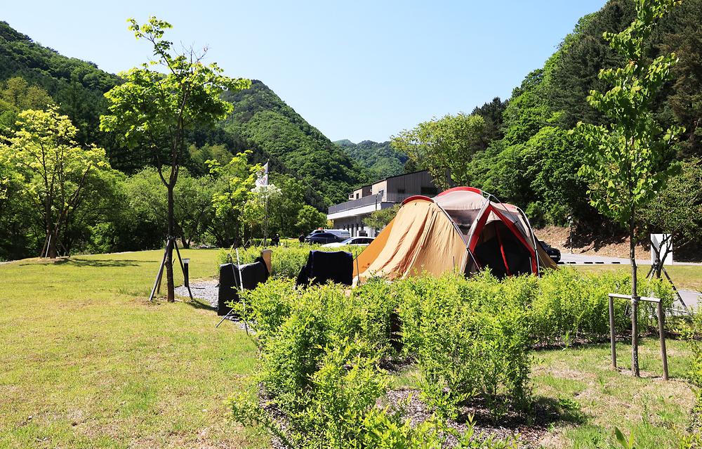 갯골자연휴양림 야영장