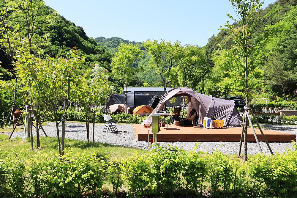 갯골자연휴양림 야영장