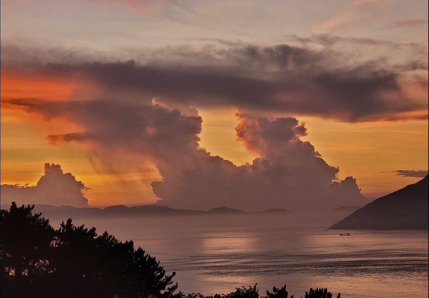 새울림오토캠핑장 이미지