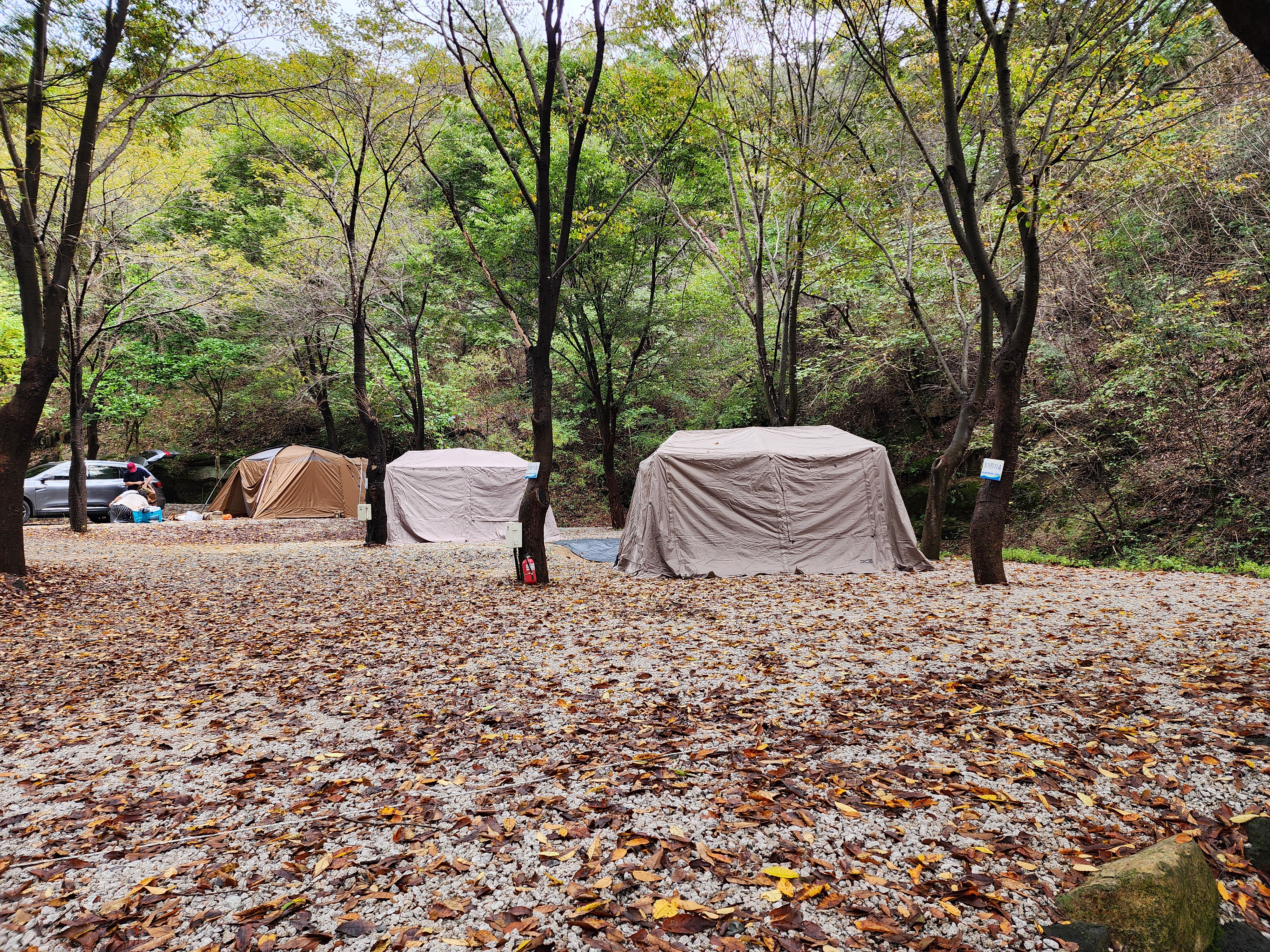 예담가족캠핑장 31번째 이미지