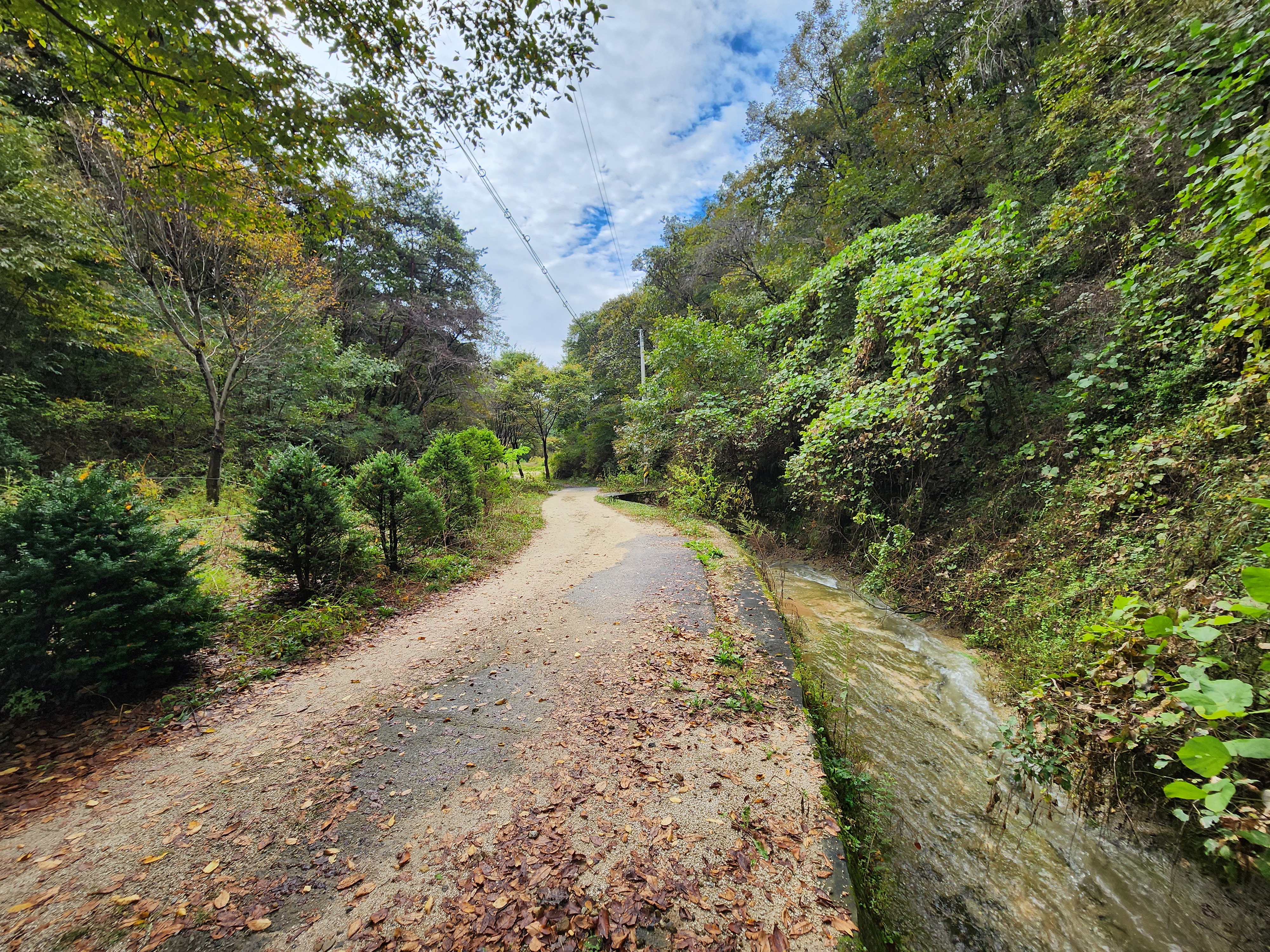예담가족캠핑장 30번째 이미지