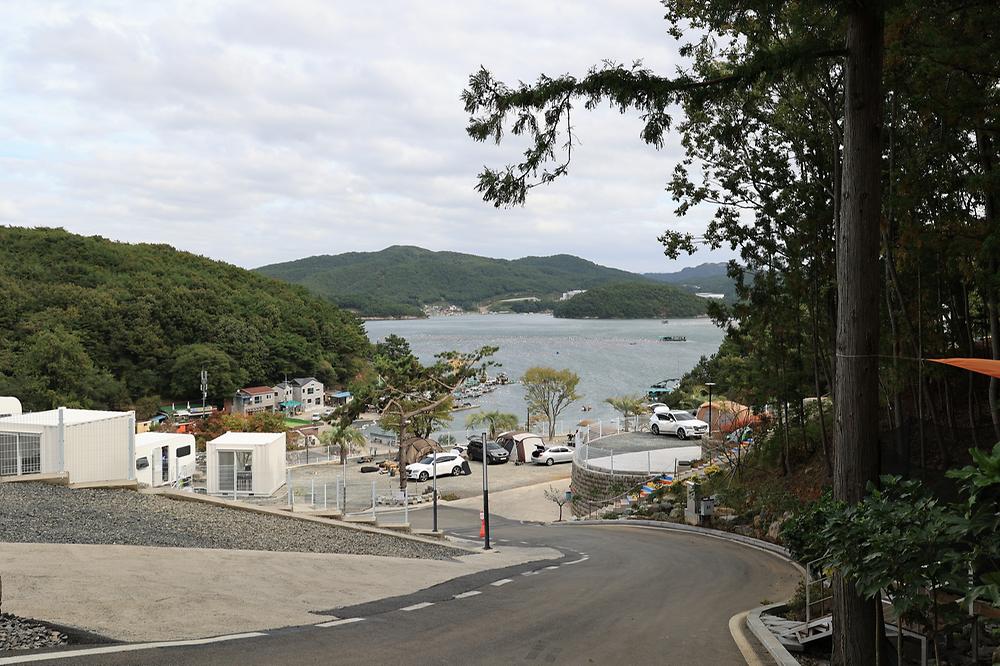 THE 숨 FOREST