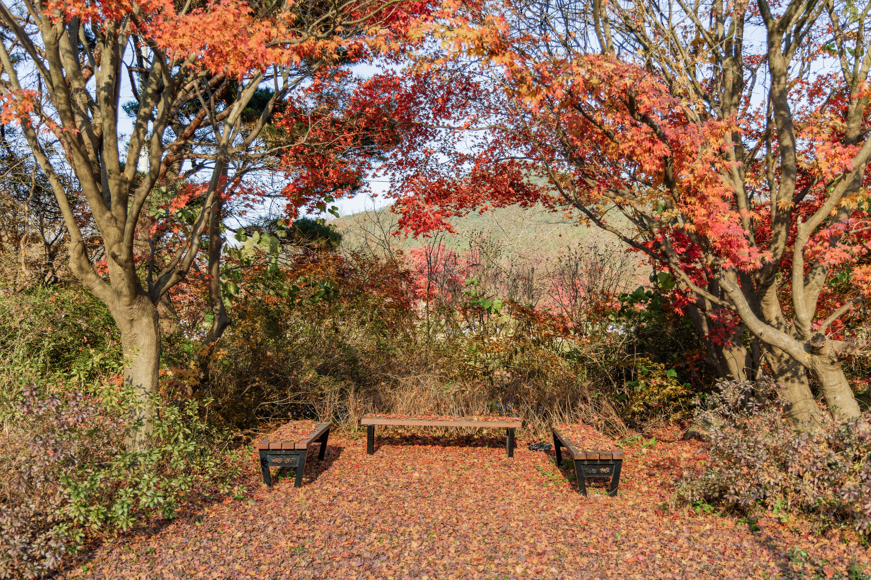 내장산국립공원 내장호야영장 이미지