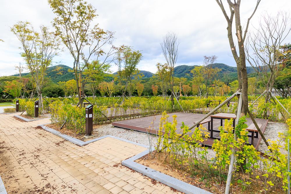 내장산국립공원 내장호야영장 이미지