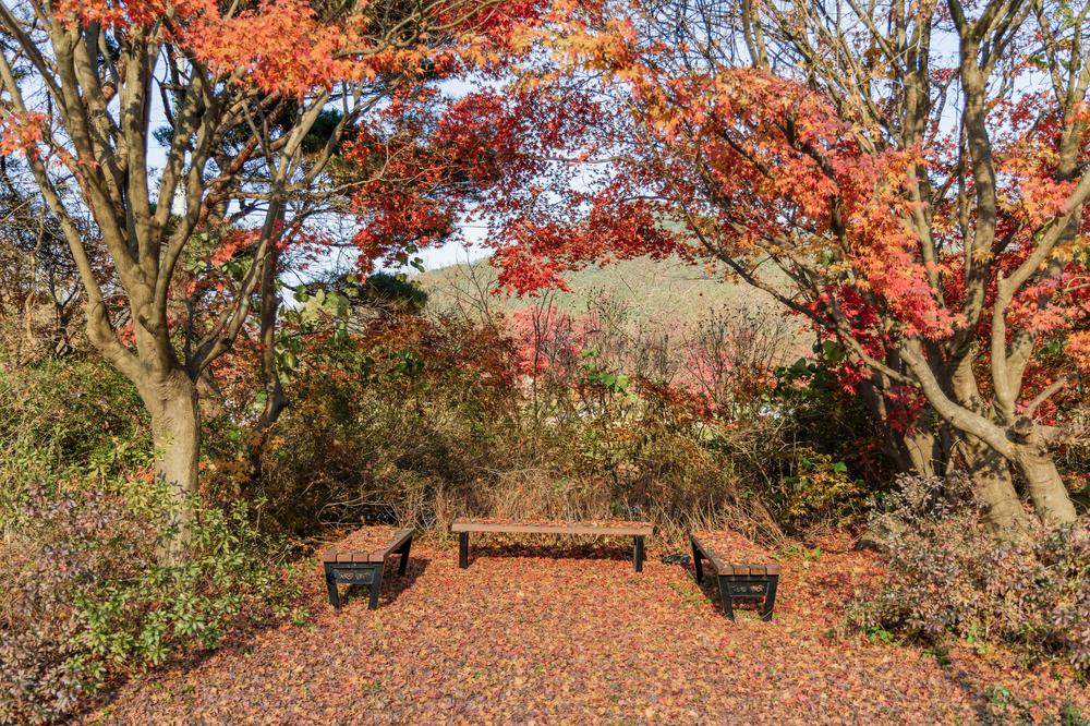 내장산국립공원 내장호야영장