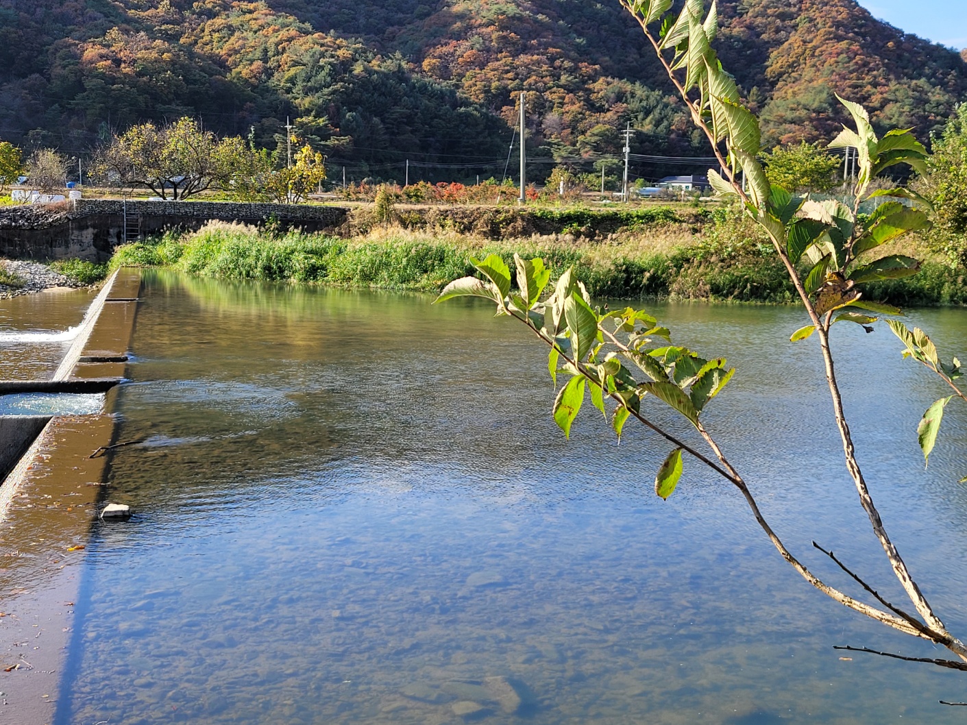 산수향 야영장 5번째 이미지