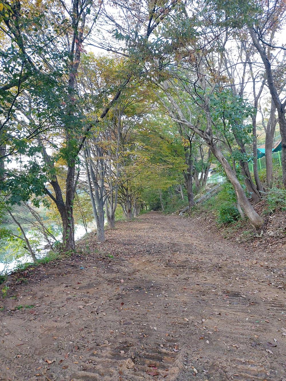 산수향 야영장