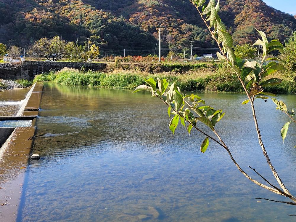 산수향 야영장