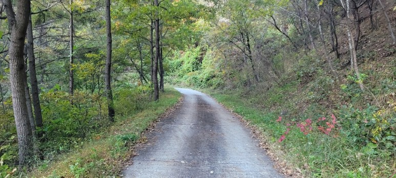 소구니캠핑장 이미지