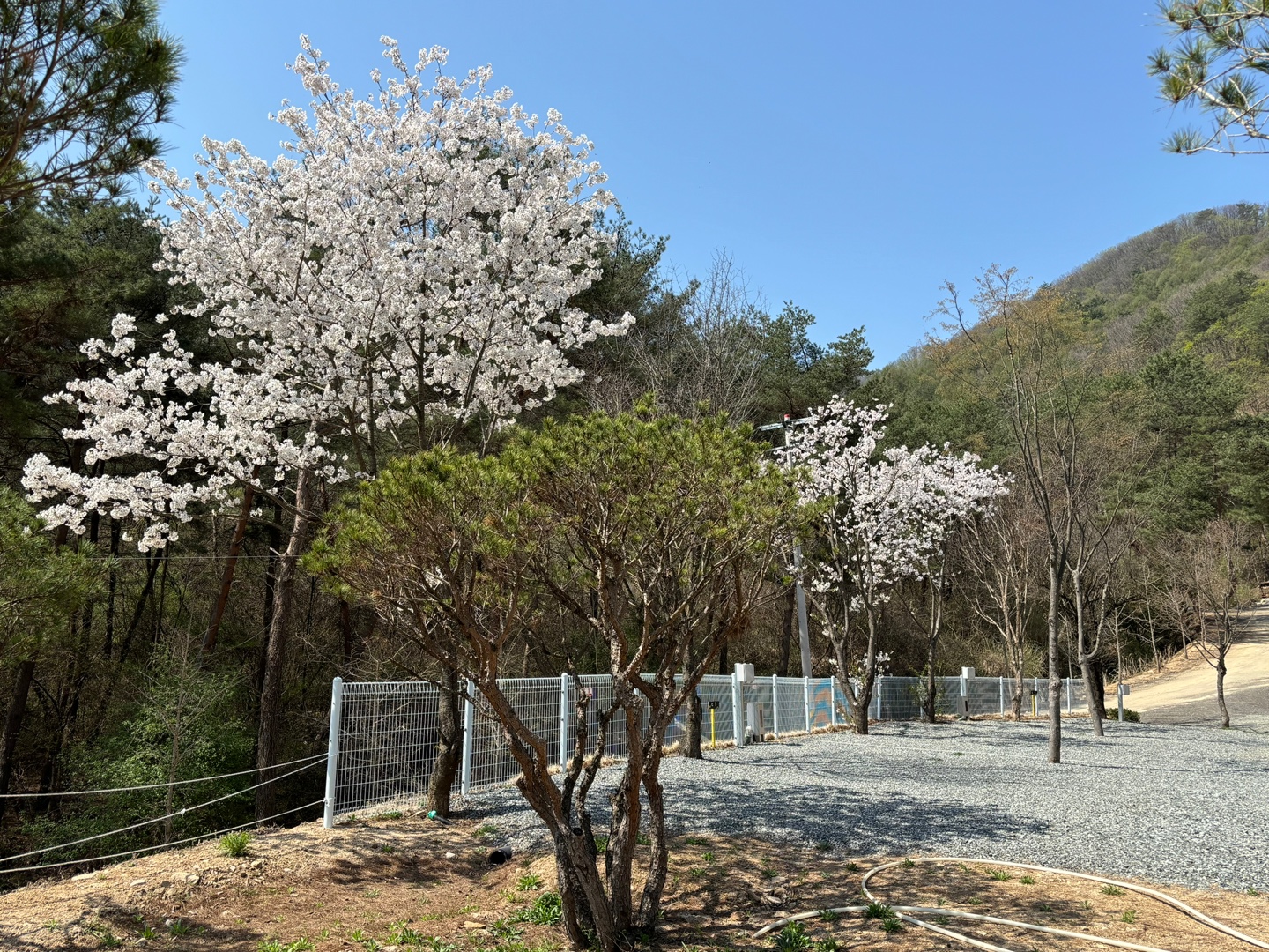 소구니캠핑장 이미지