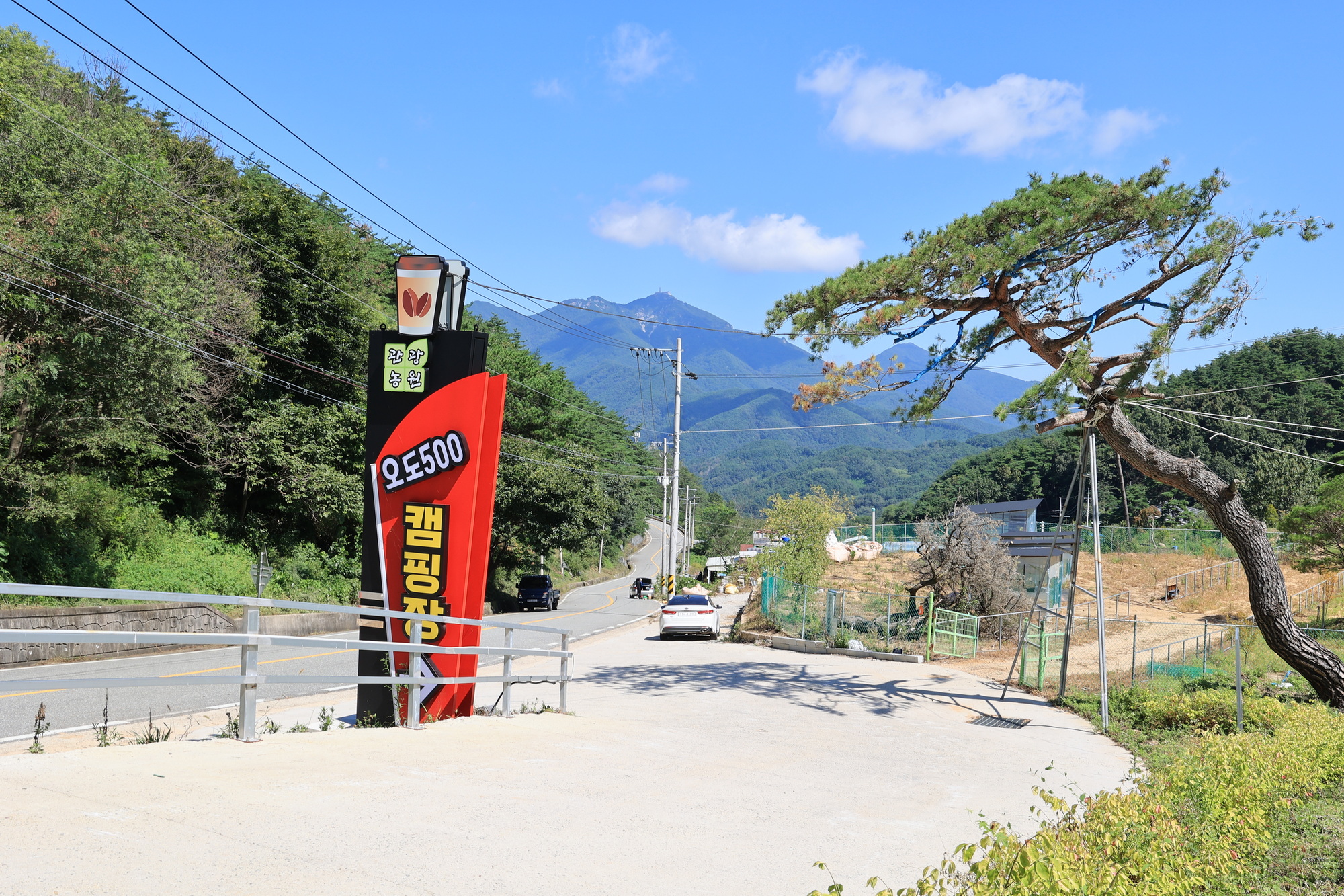 오도산 관광농원 19번째 이미지