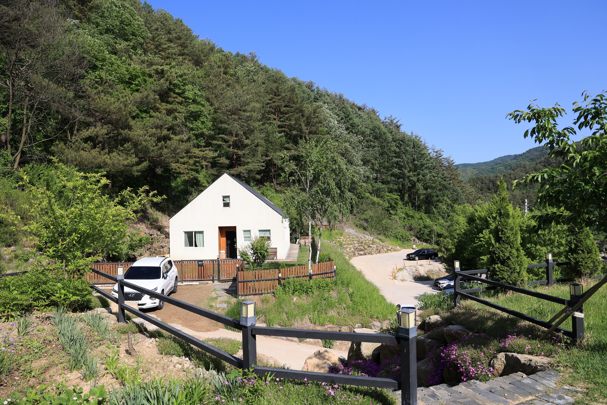 인제 잼보리 캠프 10