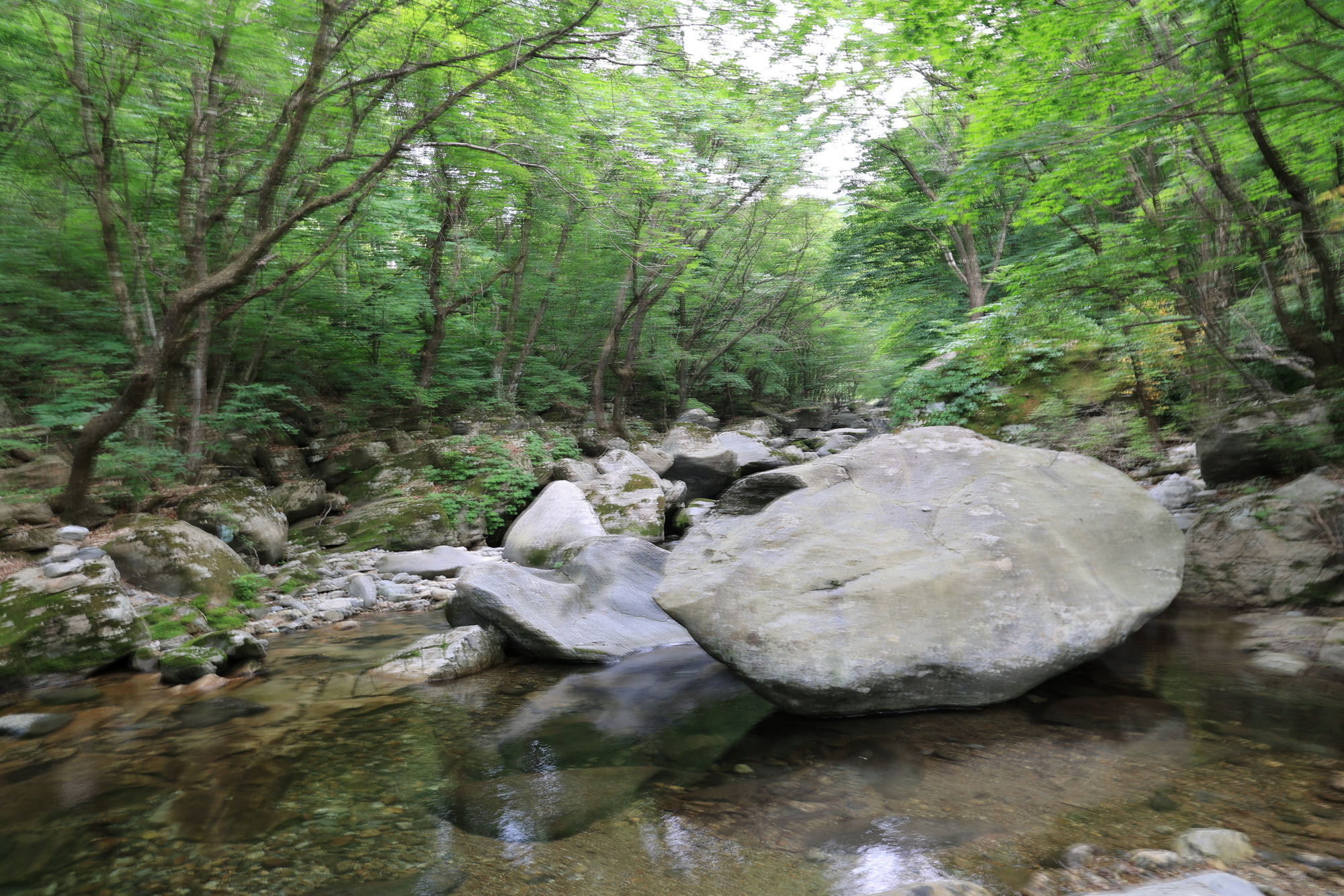 오케이캠핑장 이미지