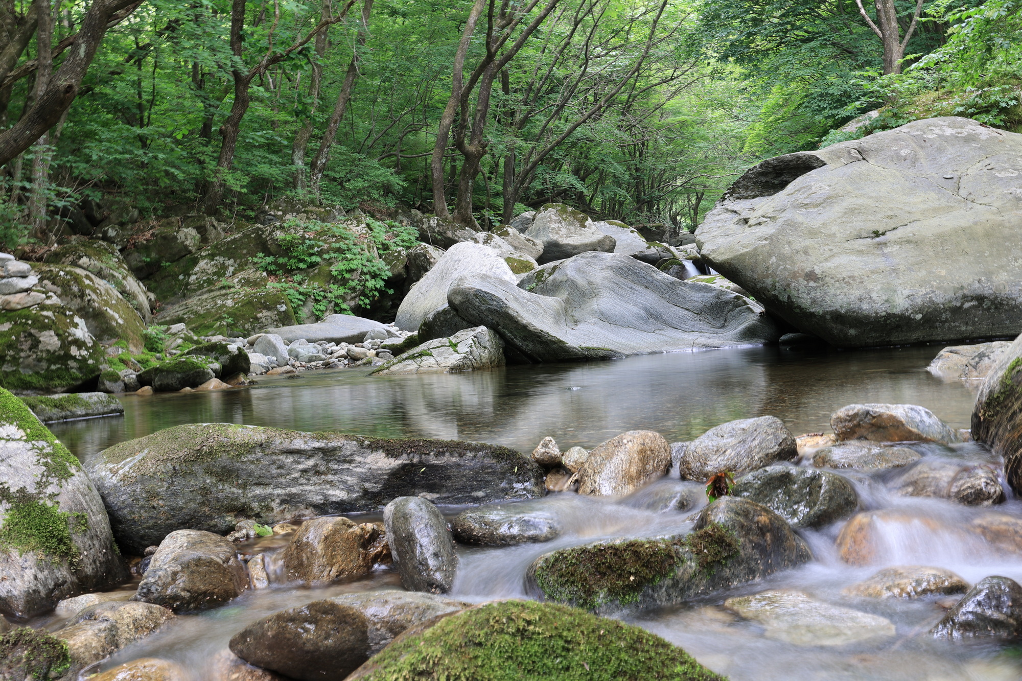 오케이캠핑장 이미지