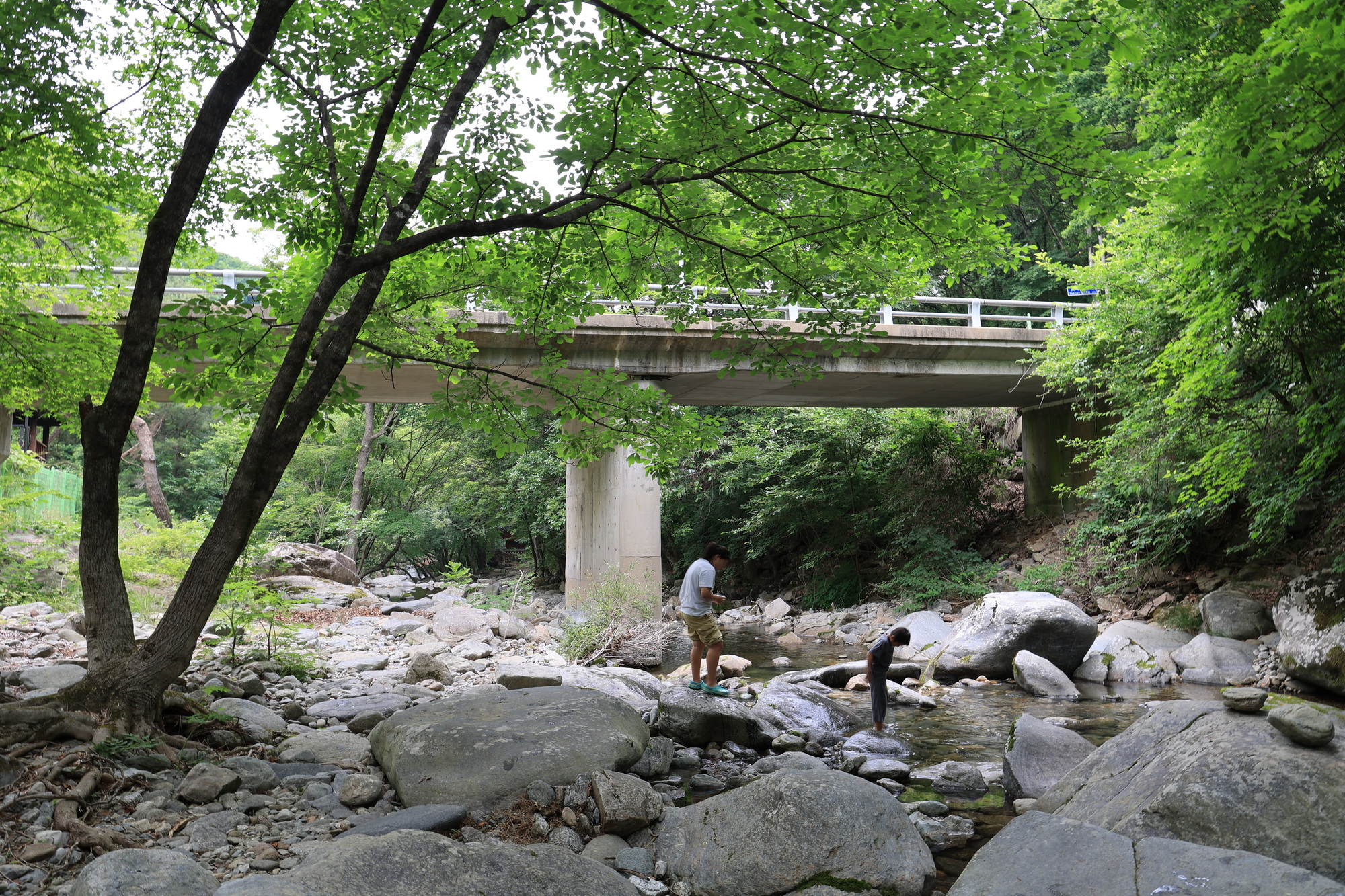 오케이캠핑장 이미지