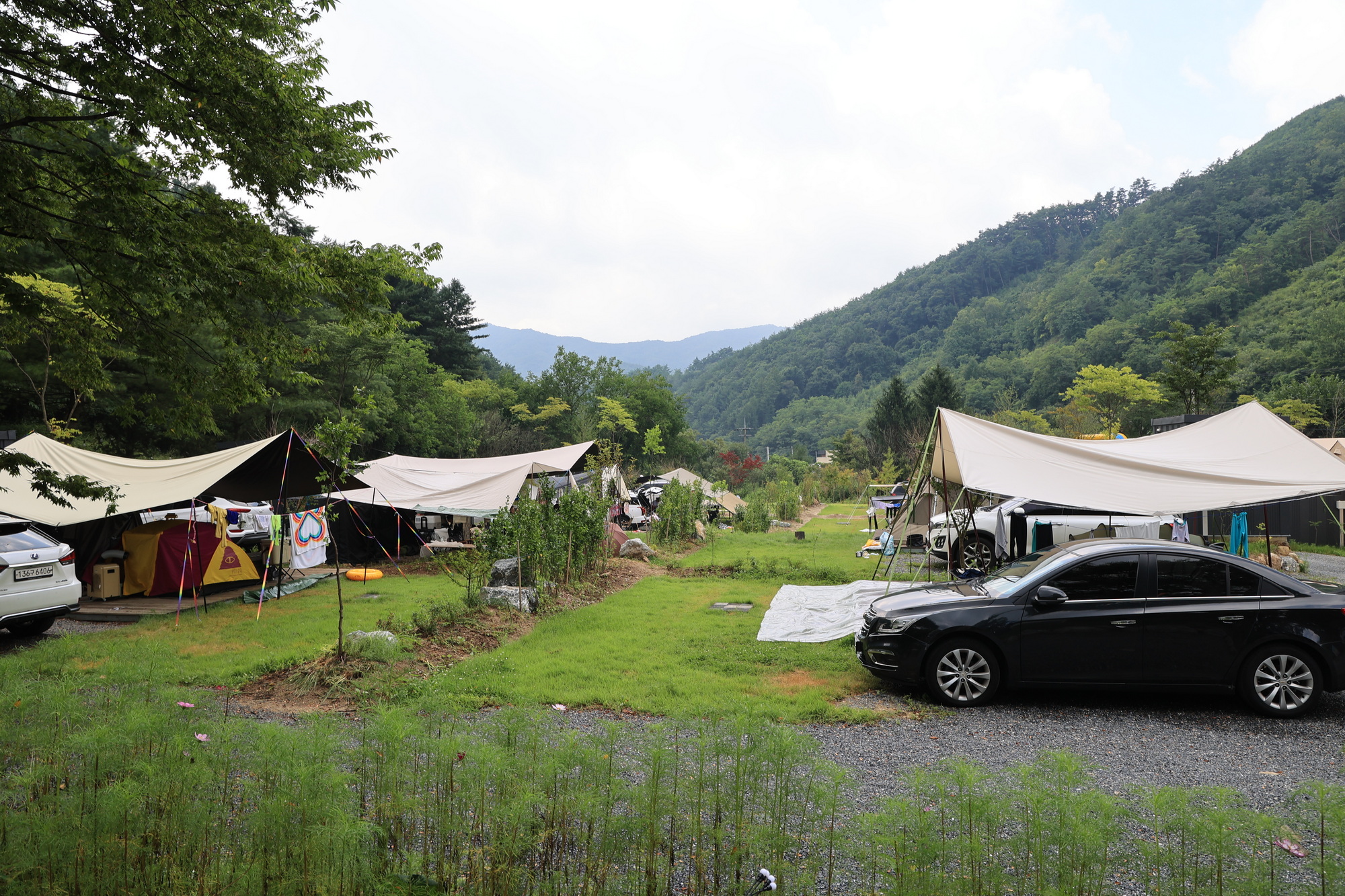 캠핑 포에버 이미지