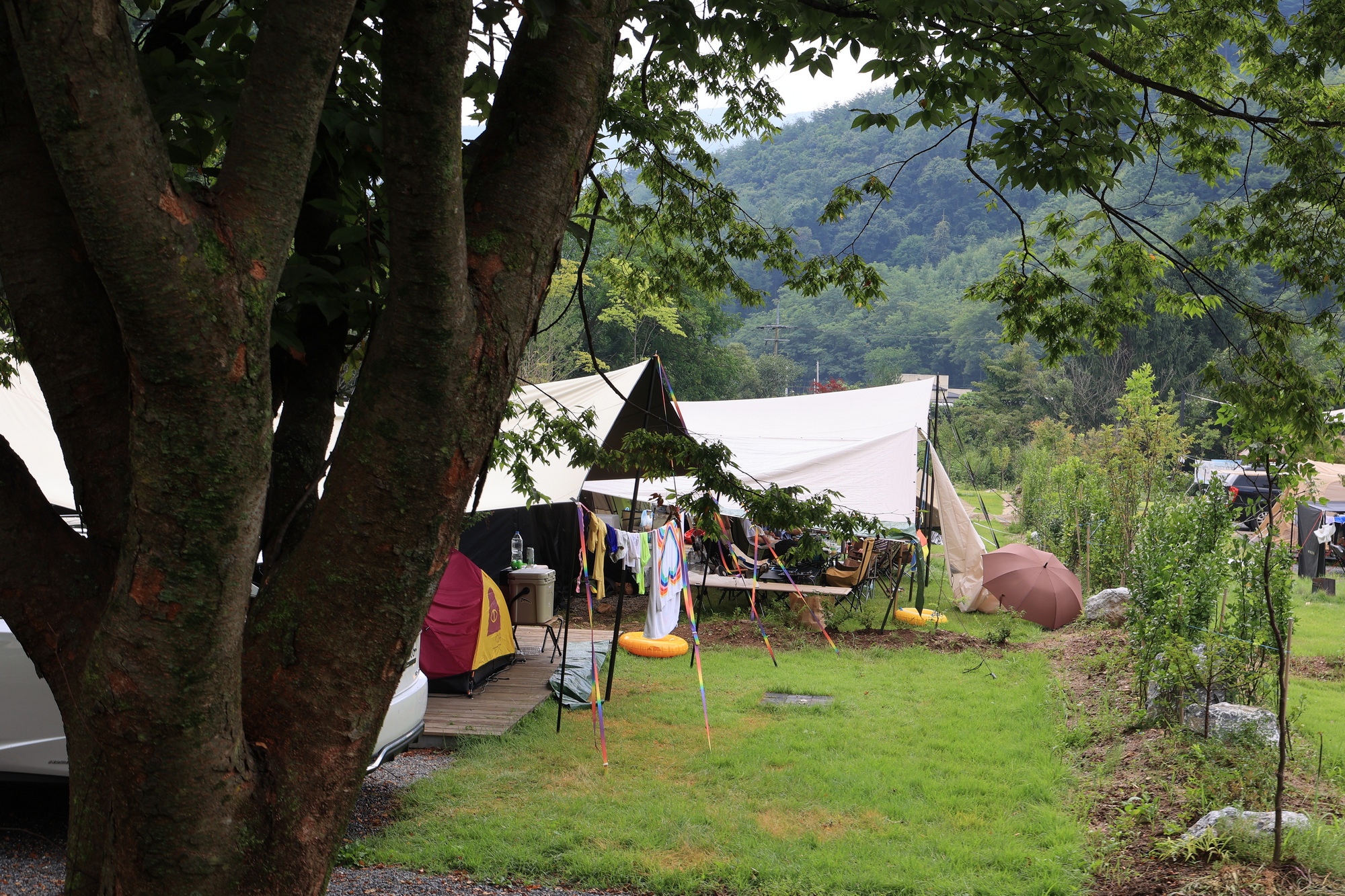 캠핑 포에버 이미지