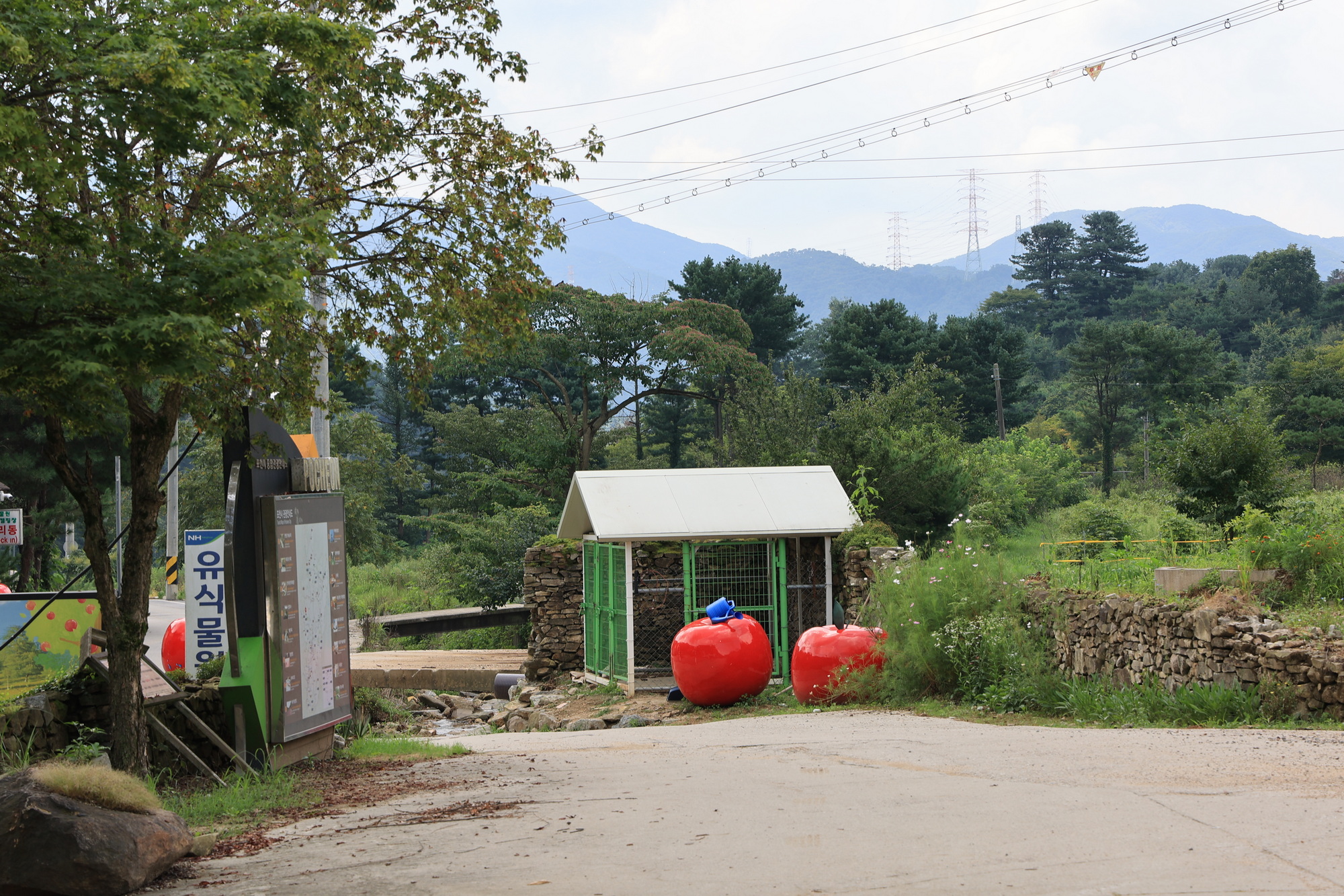 돈키호테캠핑 이미지