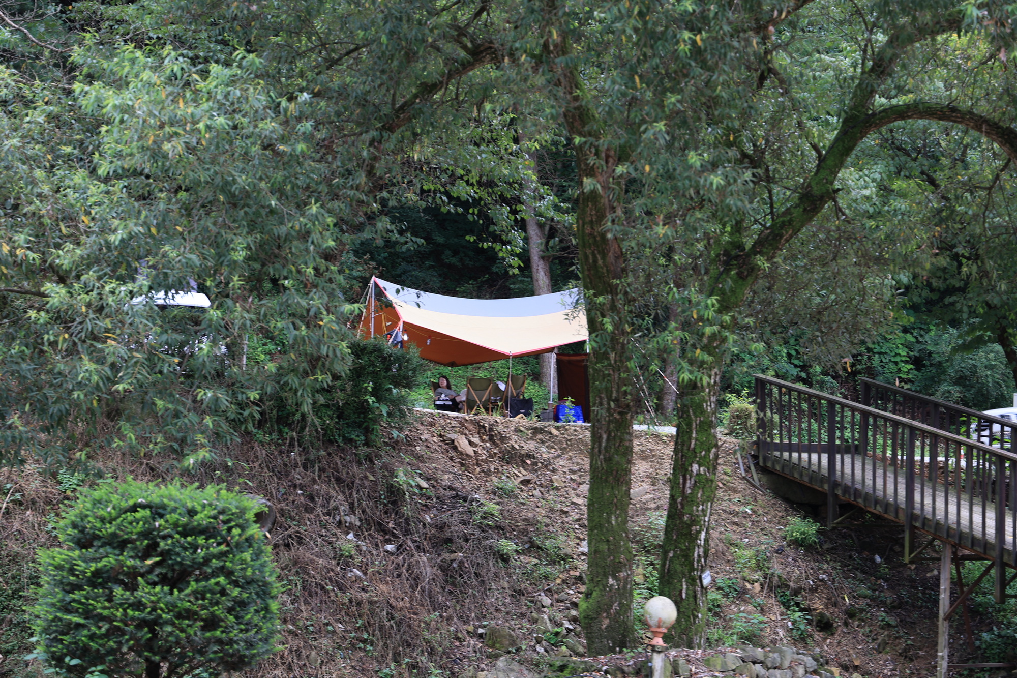 돈키호테캠핑 이미지