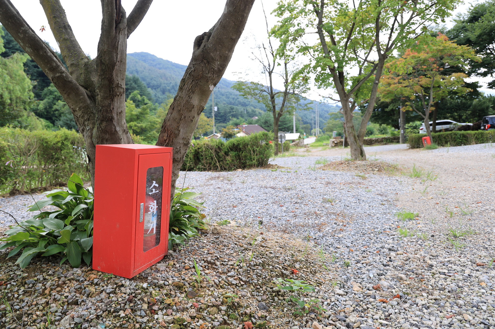 돈키호테캠핑 이미지