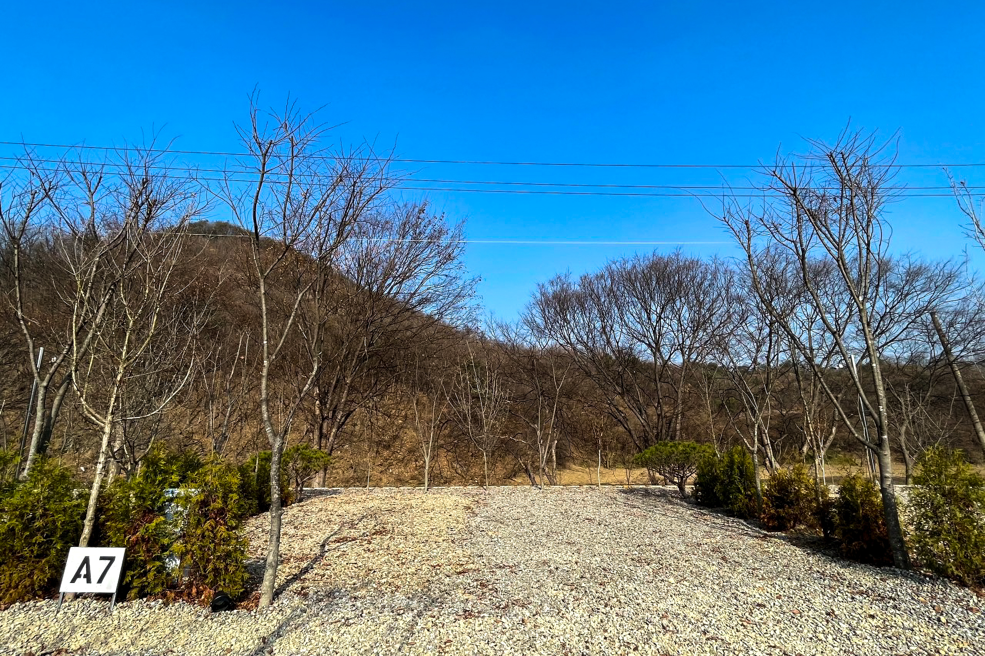 우니메이카 청주점 이미지