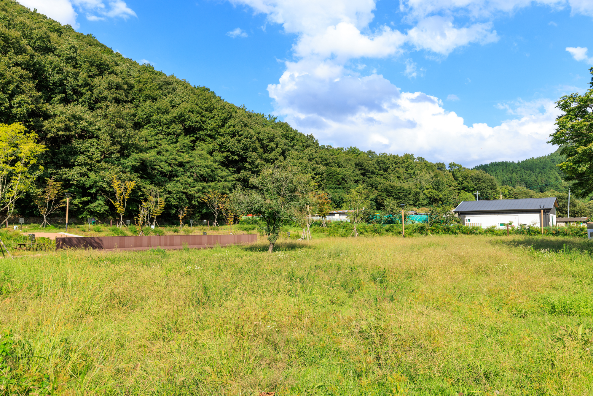 경산 송림 힐링캠핑장 8