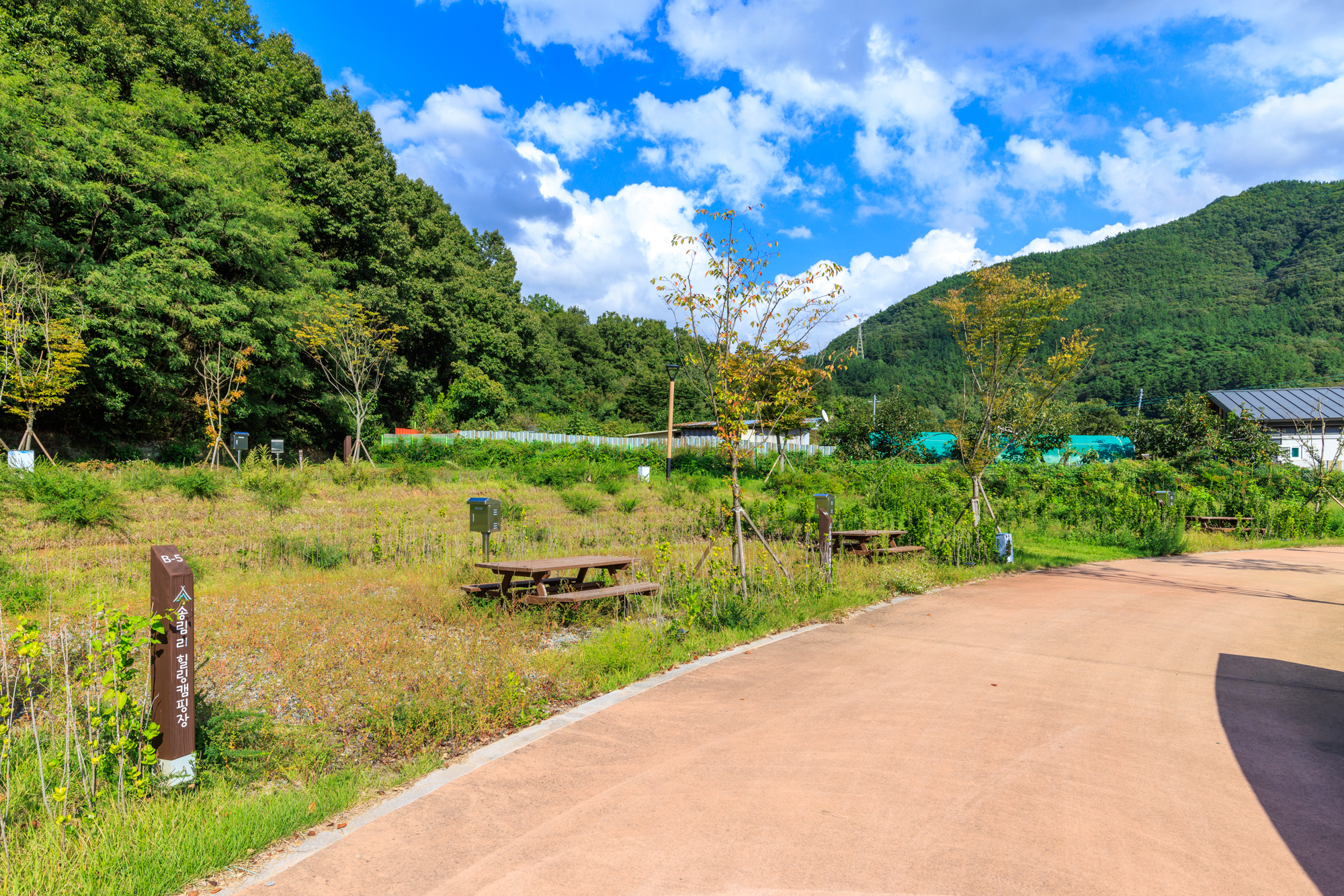 경산 송림 힐링캠핑장 10