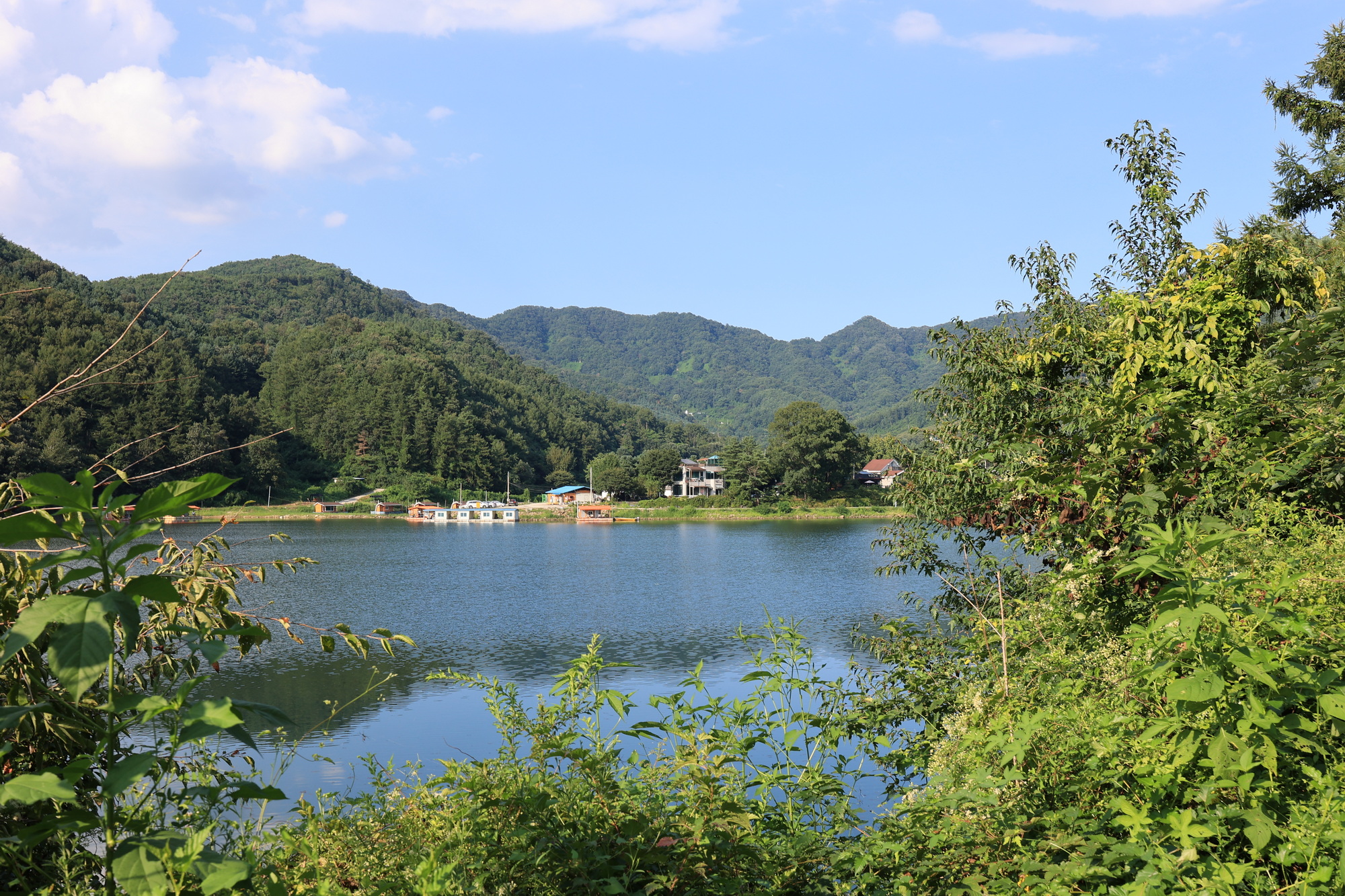 백설기캠핑장 이미지