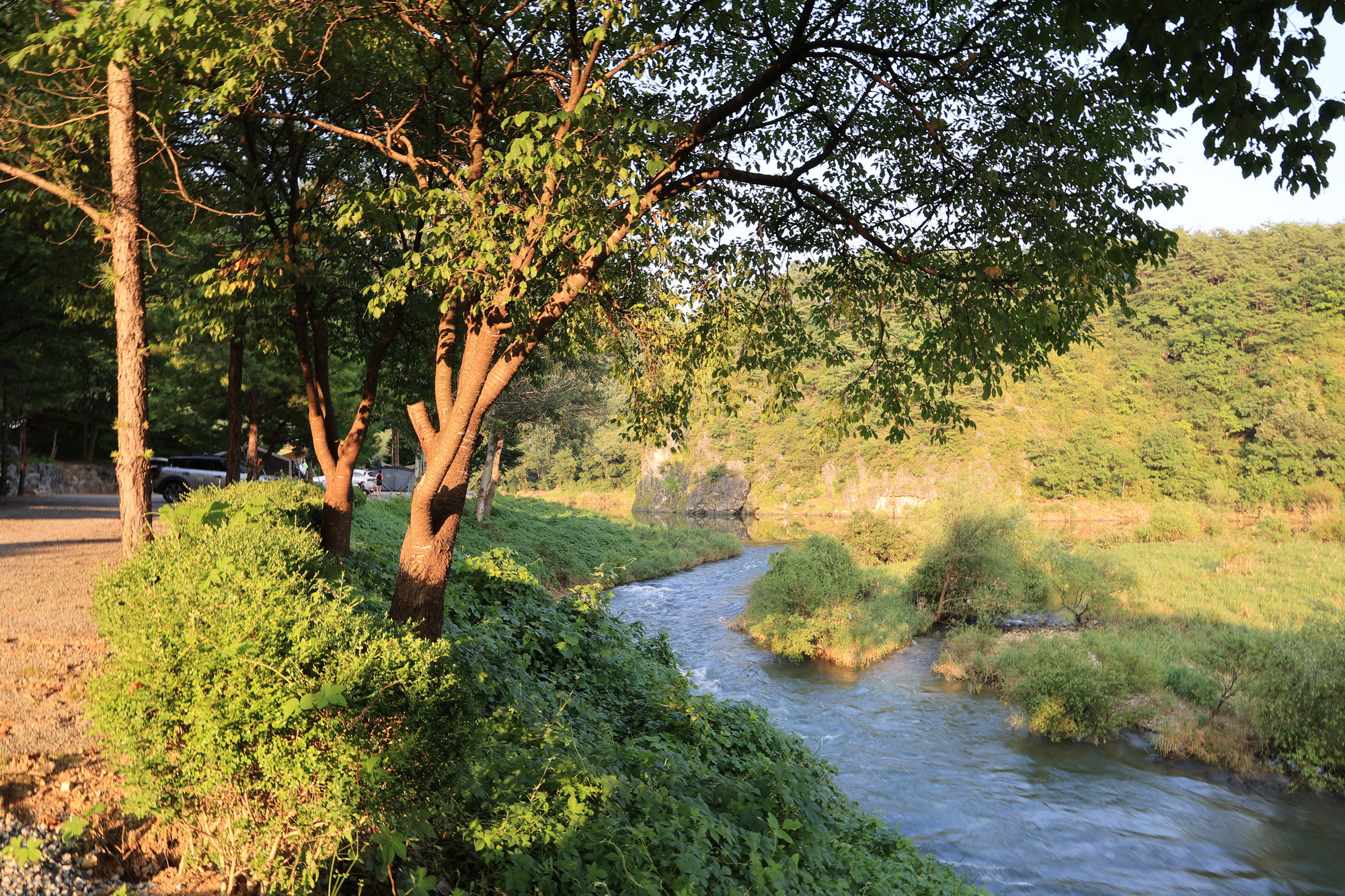 당마루관광농원캠핑장 이미지