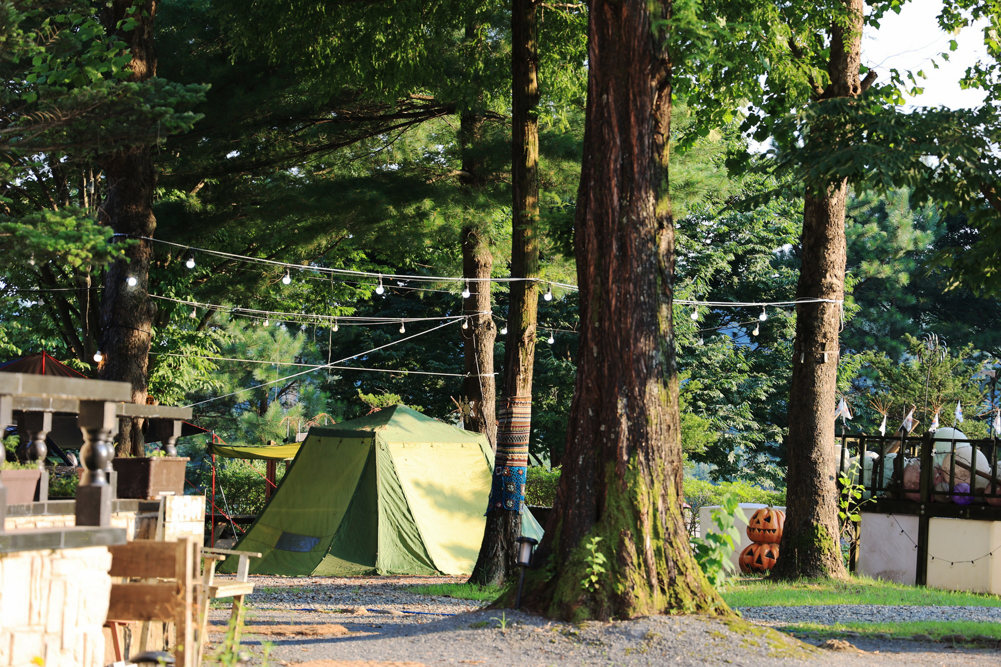 당마루관광농원캠핑장 이미지