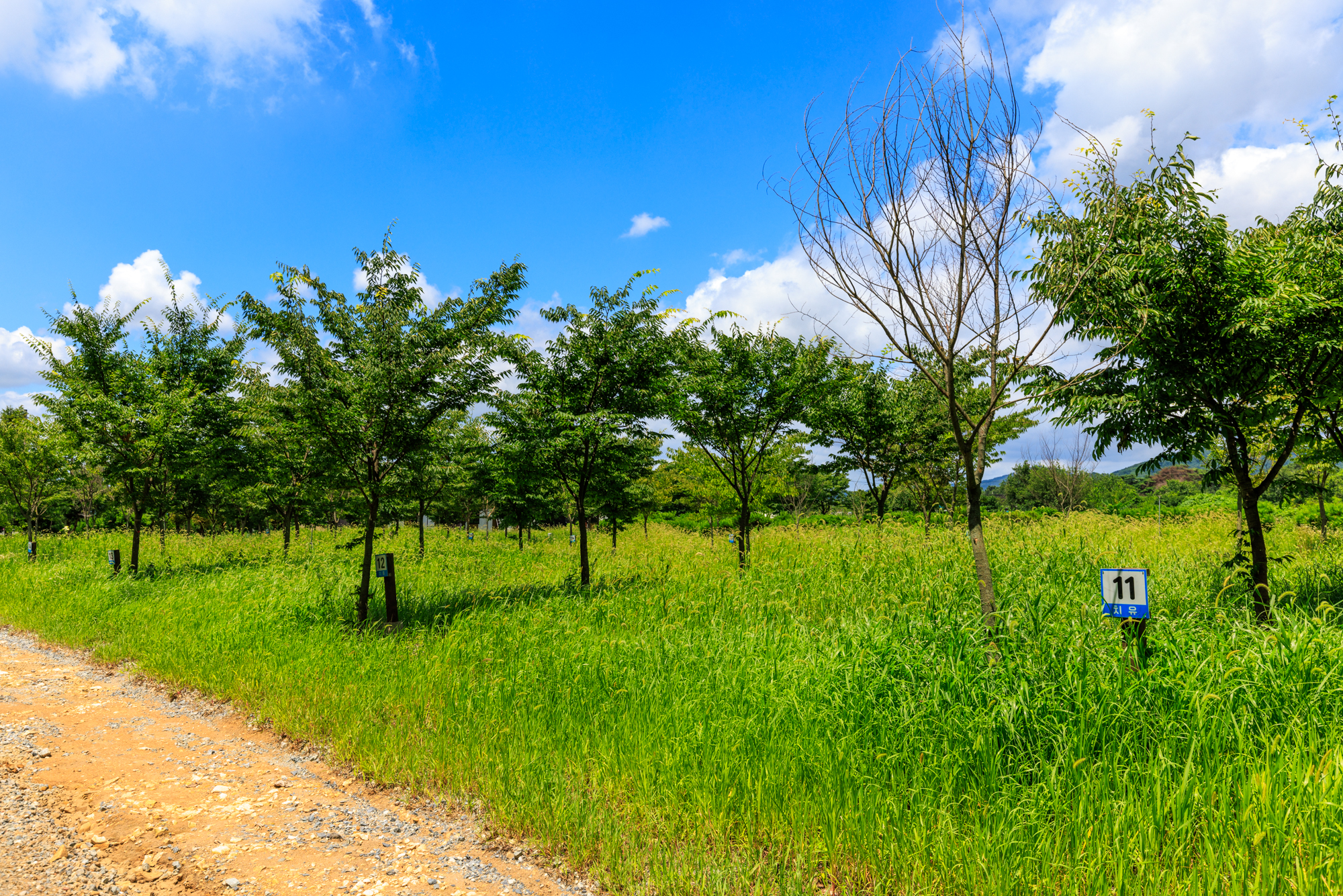 치휴관광농원 야영장 이미지