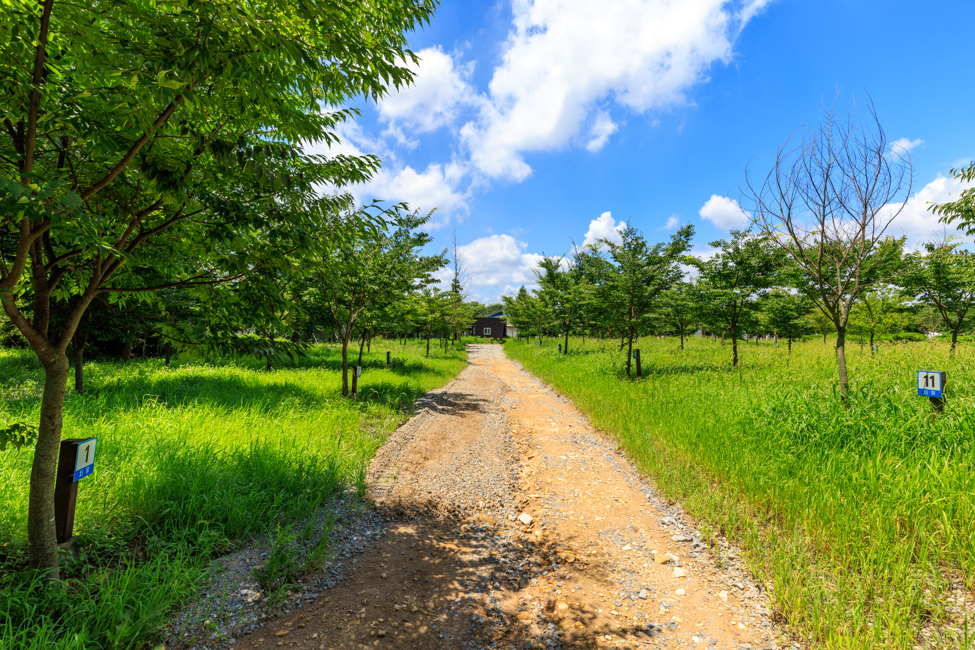 치휴관광농원 야영장 이미지